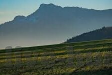 成人短视频在线观看-成人短视频，网络文化中的一抹独特风景
