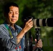 中文字幕乱码免费-探索中文影视的便捷之路，免费中文字幕的实用指南